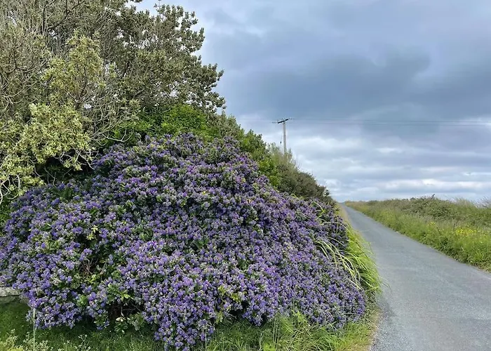 Luxury Wild Atlantic Way Accommodation With Sea Views And Free Wifi