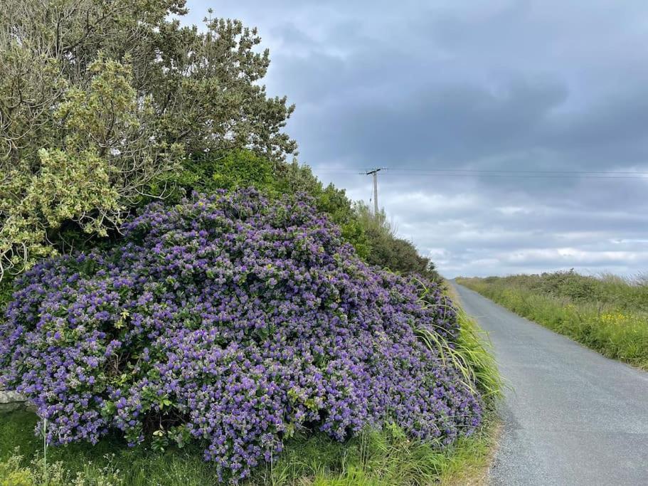 Luxury Wild Atlantic Way With Sea Views And Free Wifi Bruckless